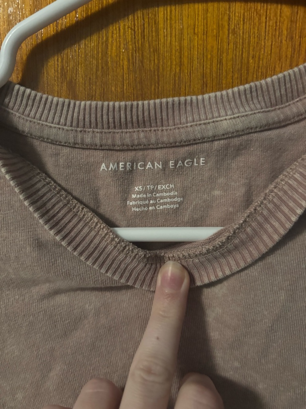 American Eagle Mauve Crewneck Cropped Tee